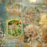 EZ Shapes & Edges - Fancy Bundle 1