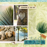 Paradise Found Paper Pak