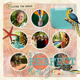 Paradise Found Cluster Groups - Frames