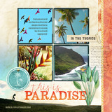 Paradise Found Cluster Groups - Frames