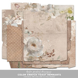 Color Swatch Toast Remnants