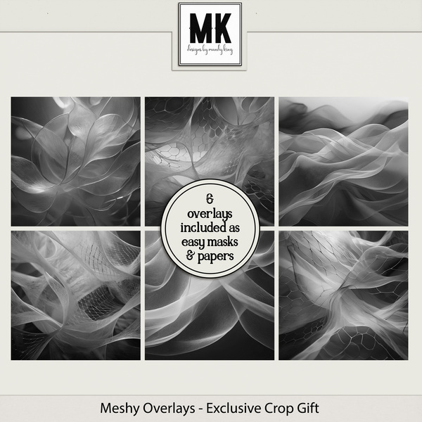 Meshy Overlays - Exclusive Crop Gift Digital Art - Digital Scrapbooking Kits