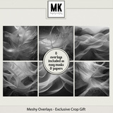 Meshy Overlays - Exclusive Crop Gift