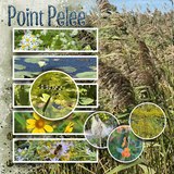 Creative Process Special Edition Mini Bundle