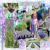 Artistic License Lilac & Lavender Watercolor Papers