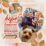 Rich Reflections Paper Pak