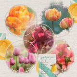 Rich Reflections Paper Pak