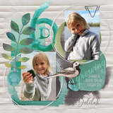 Rich Reflections Paper Pak