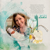 Rich Reflections AlphaSets