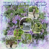 Artistic License Lilac & Lavender Watercolor Papers