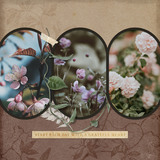 A Grateful Heart Cluster Group Mega Pak