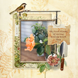 A Grateful Heart Cluster Group Mega Pak