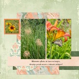 Pattern Potluck - Creamy Peach & Pale Mint Bundle