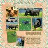 Pattern Potluck - Creamy Peach & Pale Mint Bundle