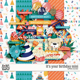 It's Your Birthday Mini