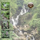 Escape To Ireland Complete Collection