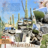 Artistic License Photo Play 2