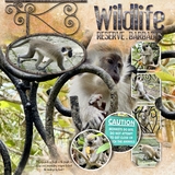 ClusterMania - Sign Up