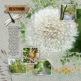 Artistic License Neutral Embossed Papers