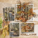 Artistic License Neutral Embossed Papers