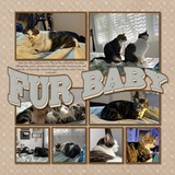 Artistic License Neutral Embossed Papers