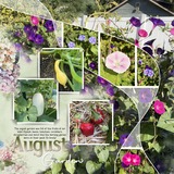 Artistic License Opaque Twists