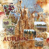 Artistic License Photo Play 2