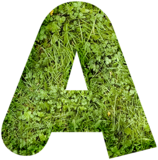 Spring Grass Alpha Bundle