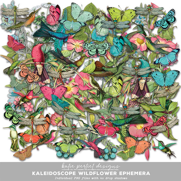 Kaleidoscope Wildflower Ephemera Digital Art - Digital Scrapbooking Kits