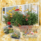 Thrifty Things - Buttercup Shades Watercolor Papers