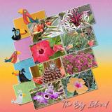 Aloha, Hawaii Bundle