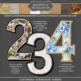 ClusterMania - 3D Monograms - Numbers