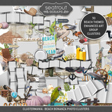 ClusterMania - Beach Bonanza Photo Clusters