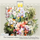 The Carpenter’s Risen Son - Crown Of Thorns Big Bun