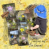 Thrifty Things - Buttercup Shades Watercolor Papers