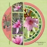 Fun Times - Green Thumb Bundle