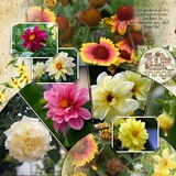 Artistic License Musings - Part 1