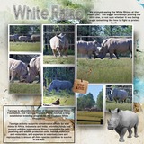 Artistic License Photo Spot Mania 3