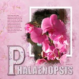 ClusterMania - 3D Monograms - Letters