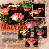 AlphaMania - Bold Neons