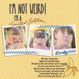 Everyday Sarcasm Enhanced Mega Bundle