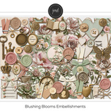 Blushing Blooms Bundle 2