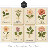 Blushing Blooms Bundle 1