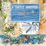 Tide & Tranquility Add On Bundle