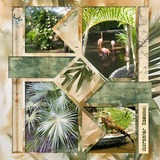 Tide & Tranquility Add On Bundle