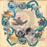 Tide & Tranquility Add On Bundle