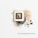 This Life - The Little Things Bundle