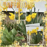 Seatrout Scraps Designer Days Exclusive Bundle 02 - May 2025