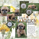 Seatrout Scraps Designer Days Exclusive Bundle 02 - May 2025