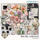 Designs by Laura Burger Designer Days Exclusive Bundle 03 - May 2025